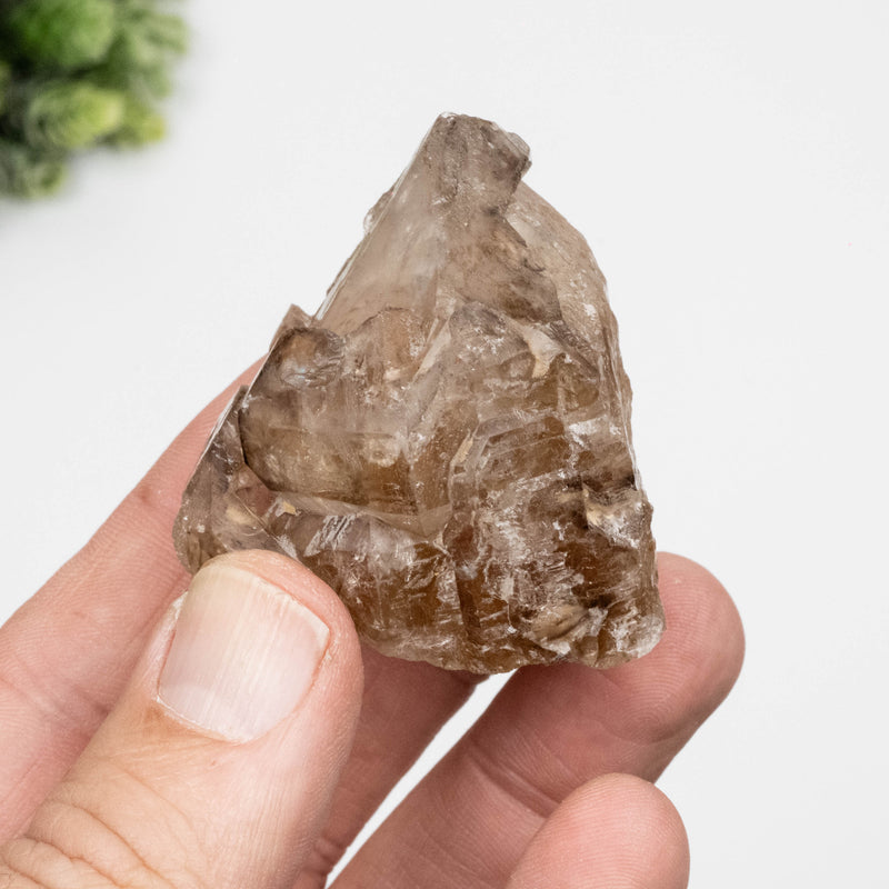 Citrine Crystal 93 g 50x46mm