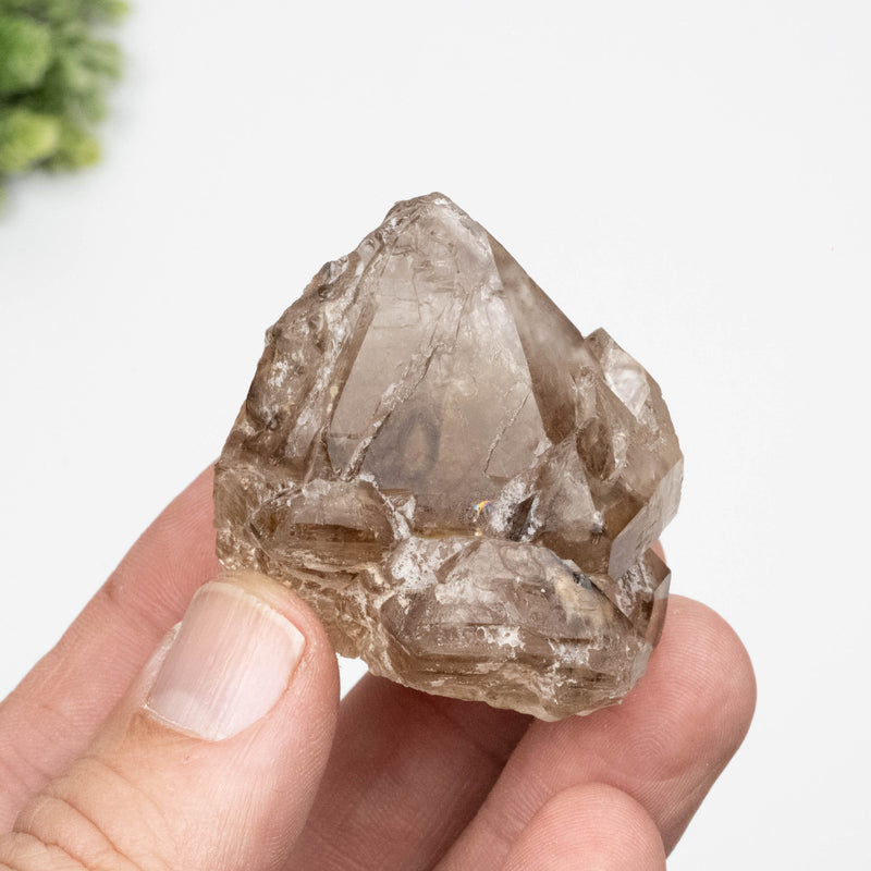 Citrine Crystal 93 g 50x46mm