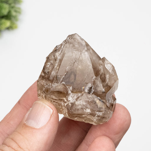 Citrine Crystal 93 g 50x46mm - InnerVision Crystals