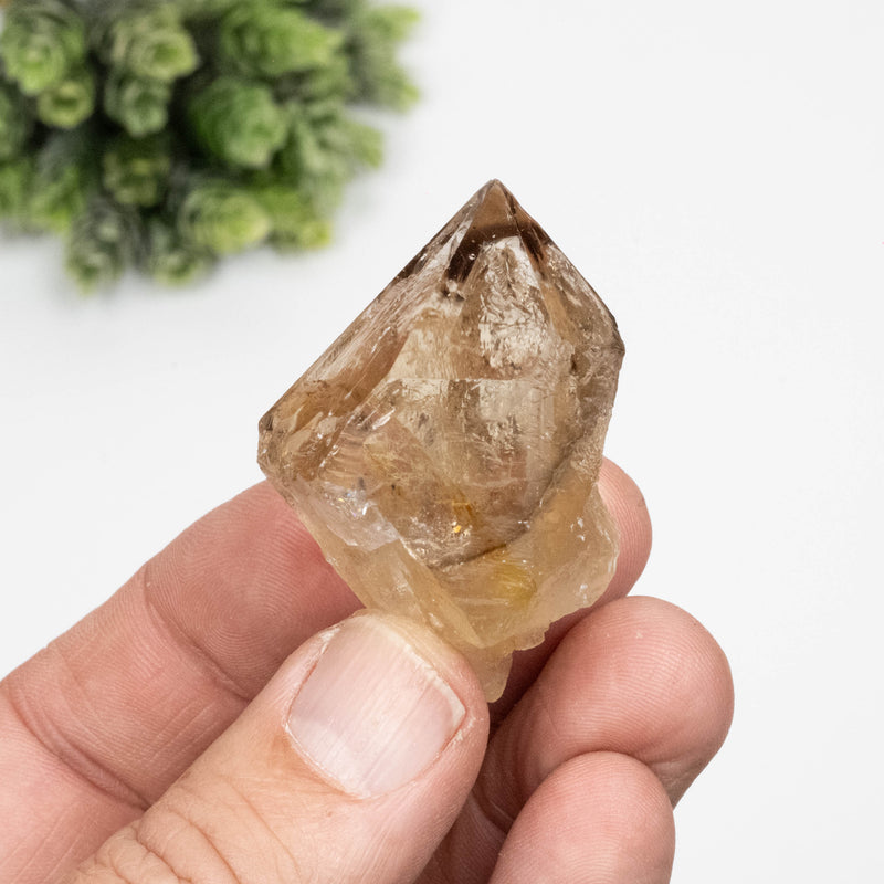 Citrine Crystal 47 g 49x37mm