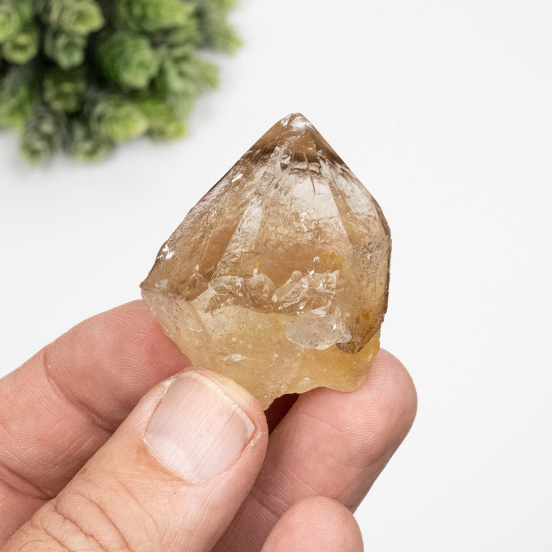 Citrine Crystal 47 g 49x37mm