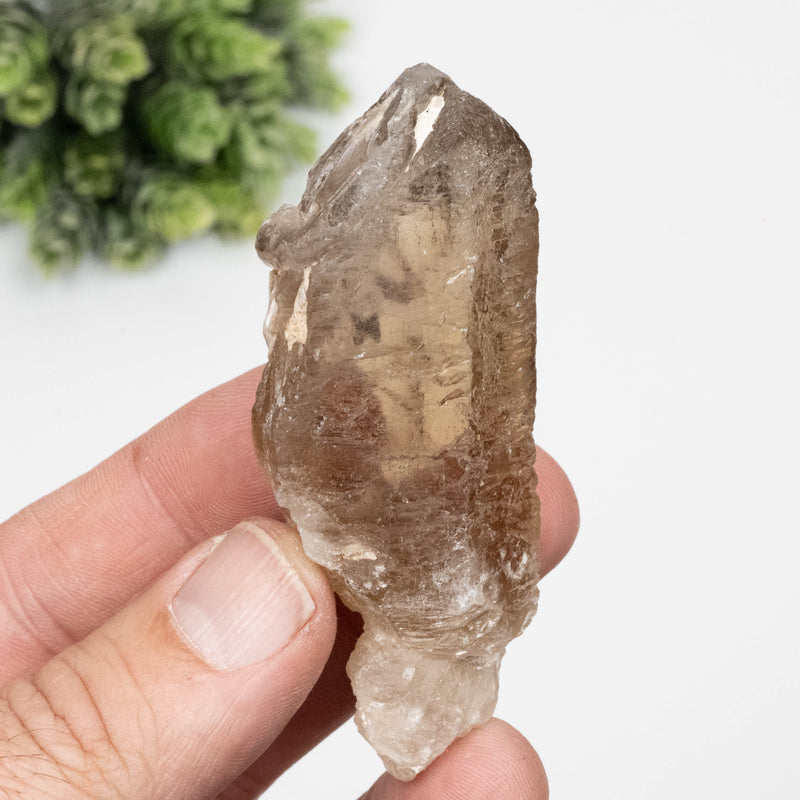 Citrine Crystal 64 g 76x31mm Elestial