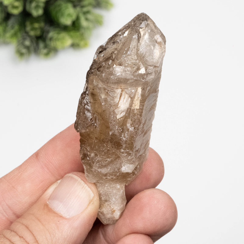 Citrine Crystal 64 g 76x31mm Elestial