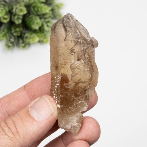 Citrine Crystal 64 g 76x31mm Elestial - InnerVision Crystals