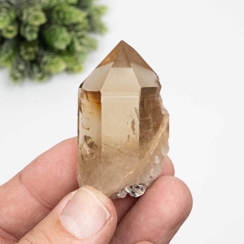 Citrine Crystal 56 g 53x32mm
