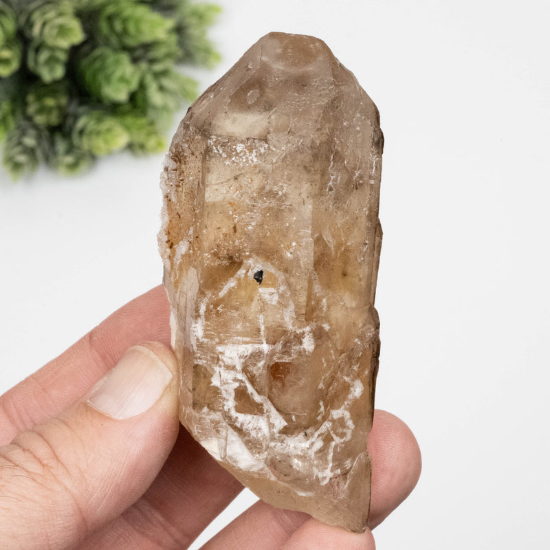 Citrine Crystal 157 g 85x41mm Elestial