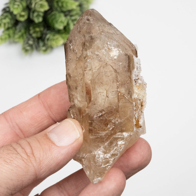Citrine Crystal 157 g 85x41mm Elestial