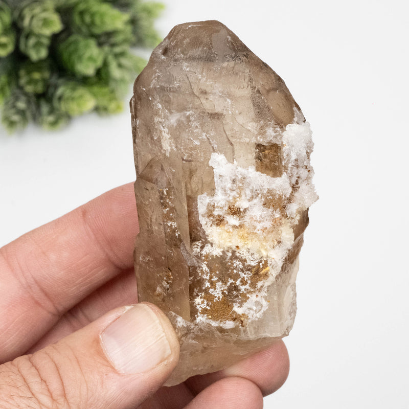 Citrine Crystal 157 g 85x41mm Elestial