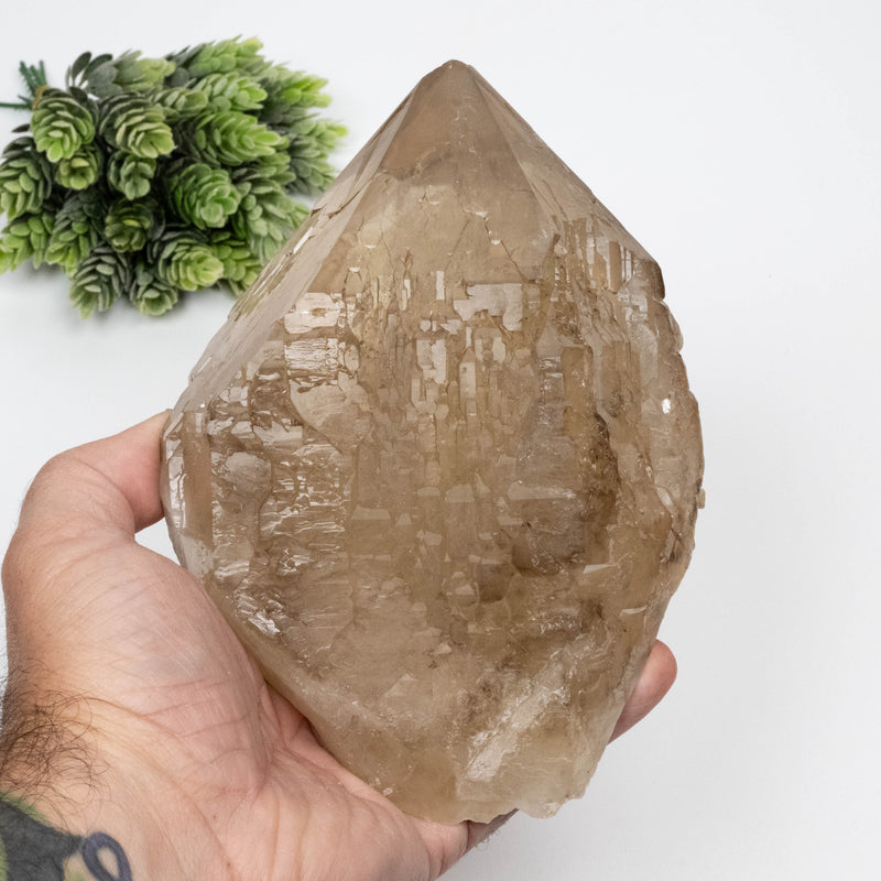Citrine Crystal 1616 g 178x128mm Elestial