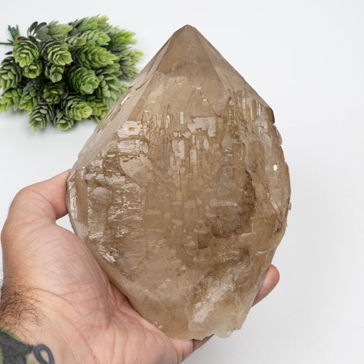 Citrine Crystal 1616 g 178x128mm Elestial - InnerVision Crystals