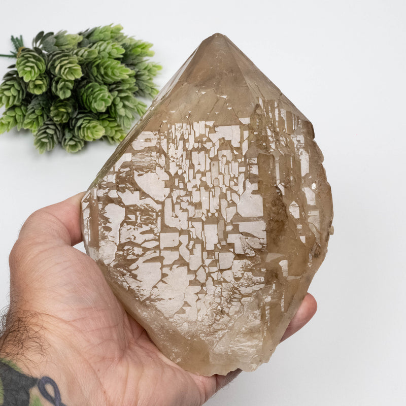 Citrine Crystal 1616 g 178x128mm Elestial