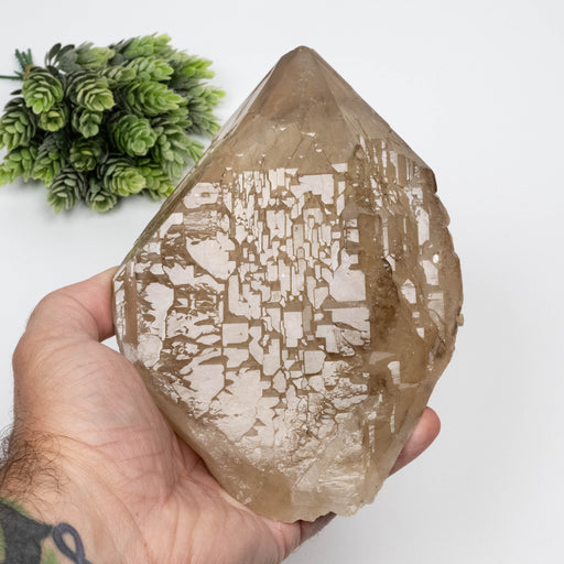Citrine Crystal 1616 g 178x128mm Elestial - InnerVision Crystals