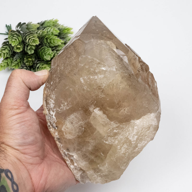 Citrine Crystal 1616 g 178x128mm Elestial