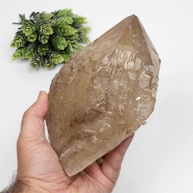 Citrine Crystal 1616 g 178x128mm Elestial