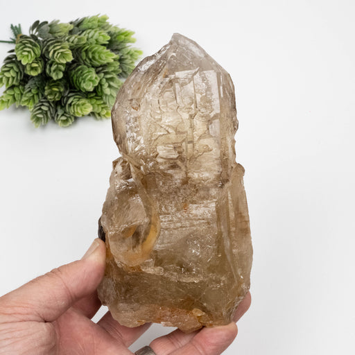Citrine Crystal 1078 g 161x87mm Elestial w/ Mica - InnerVision Crystals