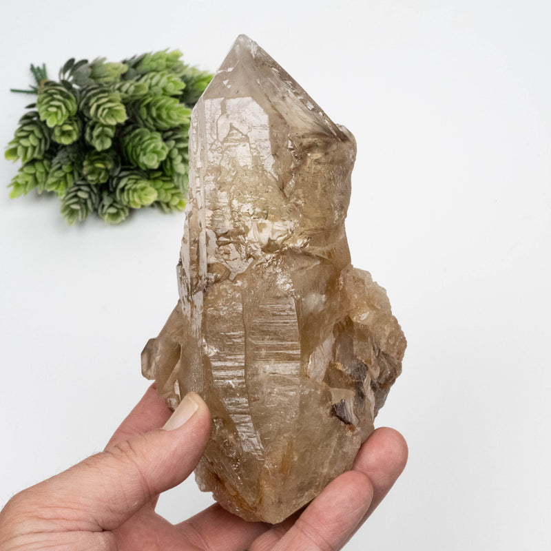 Citrine Crystal 1078 g 161x87mm Elestial w/ Mica