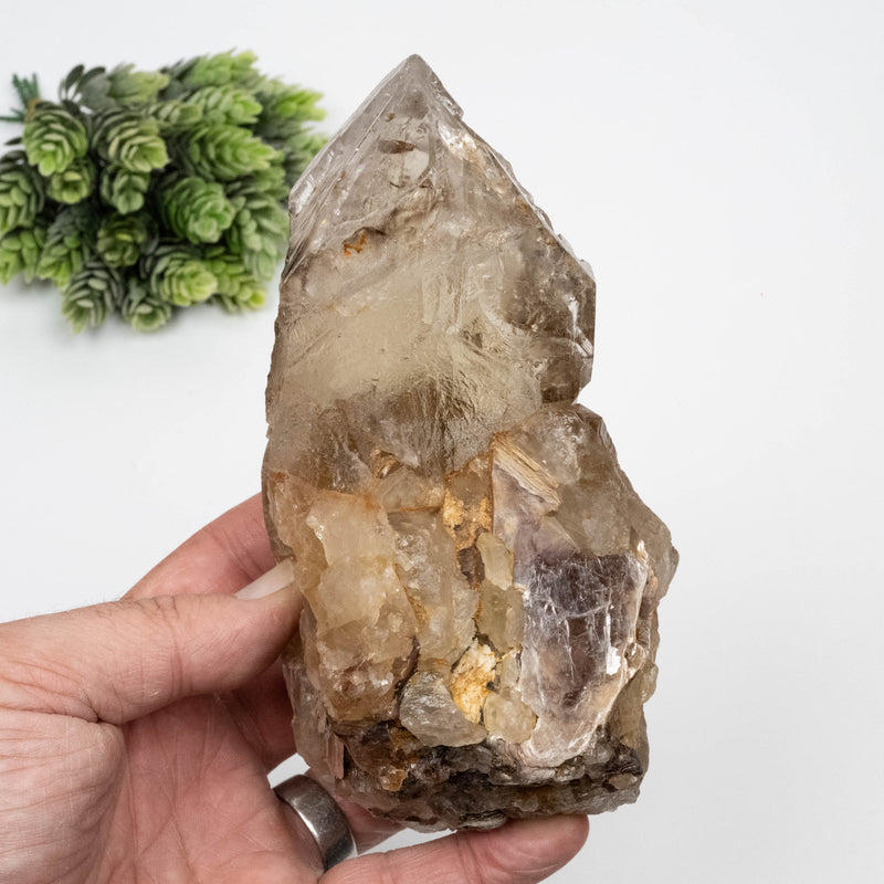 Citrine Crystal 1078 g 161x87mm Elestial w/ Mica