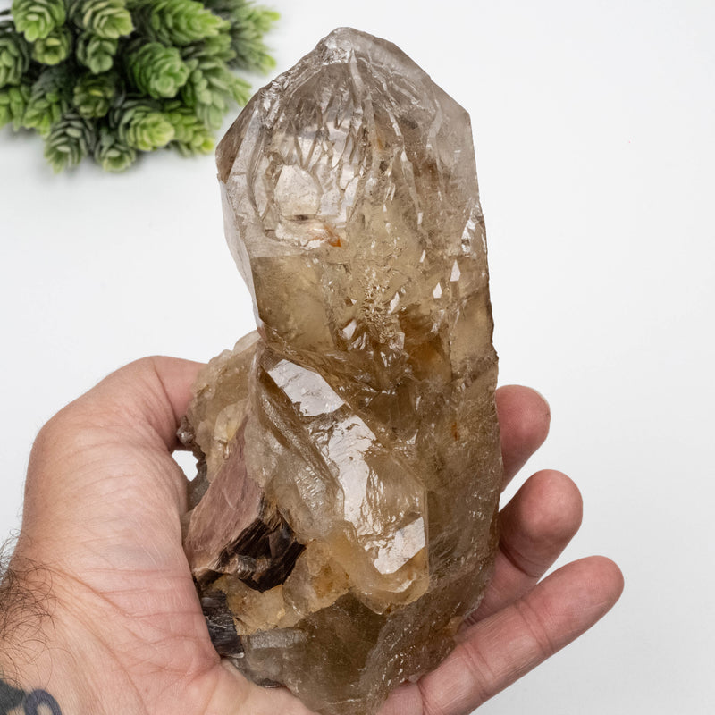 Citrine Crystal 1078 g 161x87mm Elestial w/ Mica