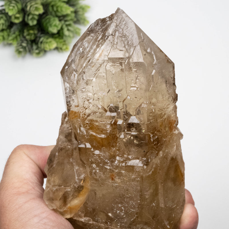 Citrine Crystal 1078 g 161x87mm Elestial w/ Mica