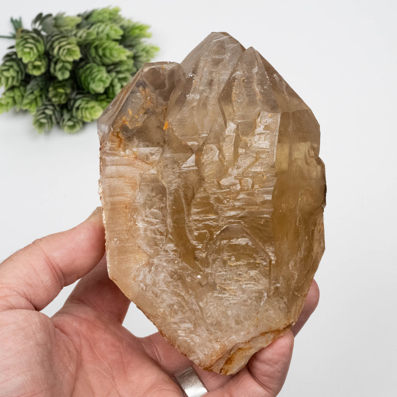 Citrine Crystal 1268 g 133x90mm Elestial