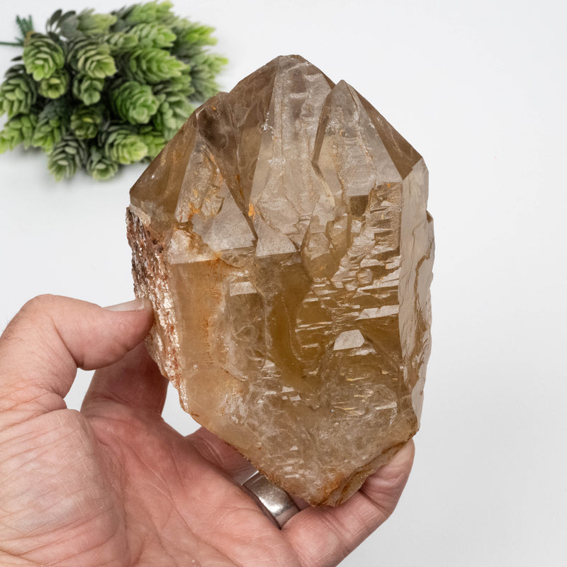 Citrine Crystal 1268 g 133x90mm Elestial