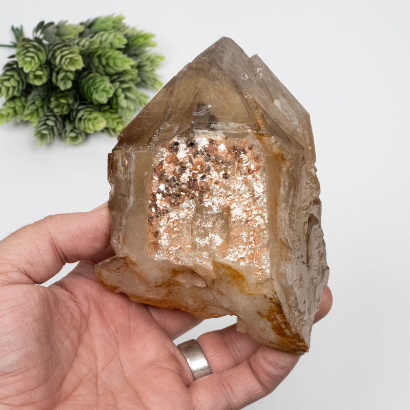 Citrine Crystal 1268 g 133x90mm Elestial