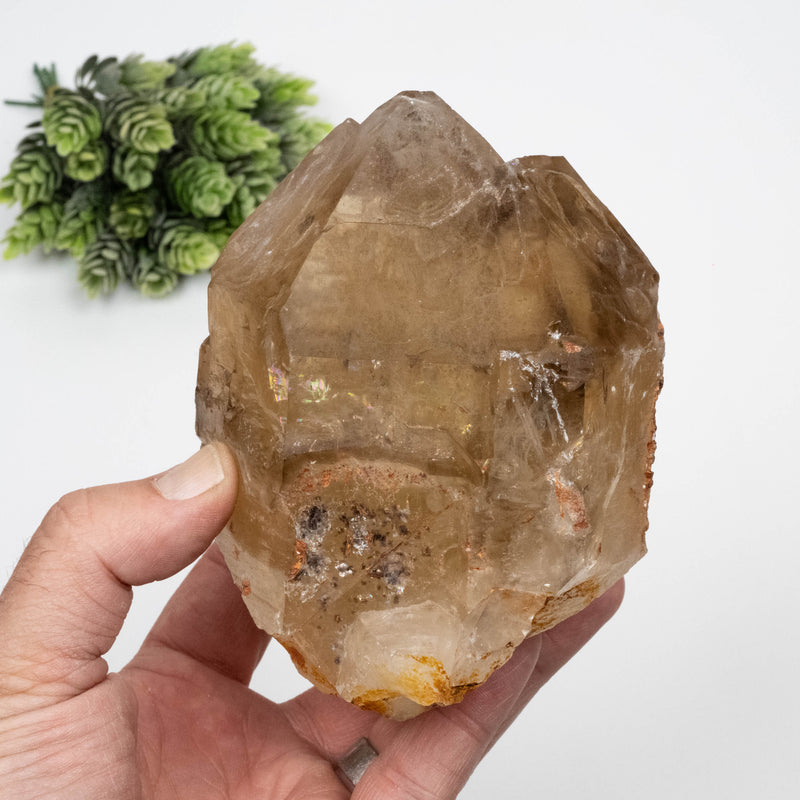 Citrine Crystal 1268 g 133x90mm Elestial