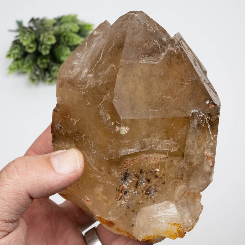 Citrine Crystal 1268 g 133x90mm Elestial