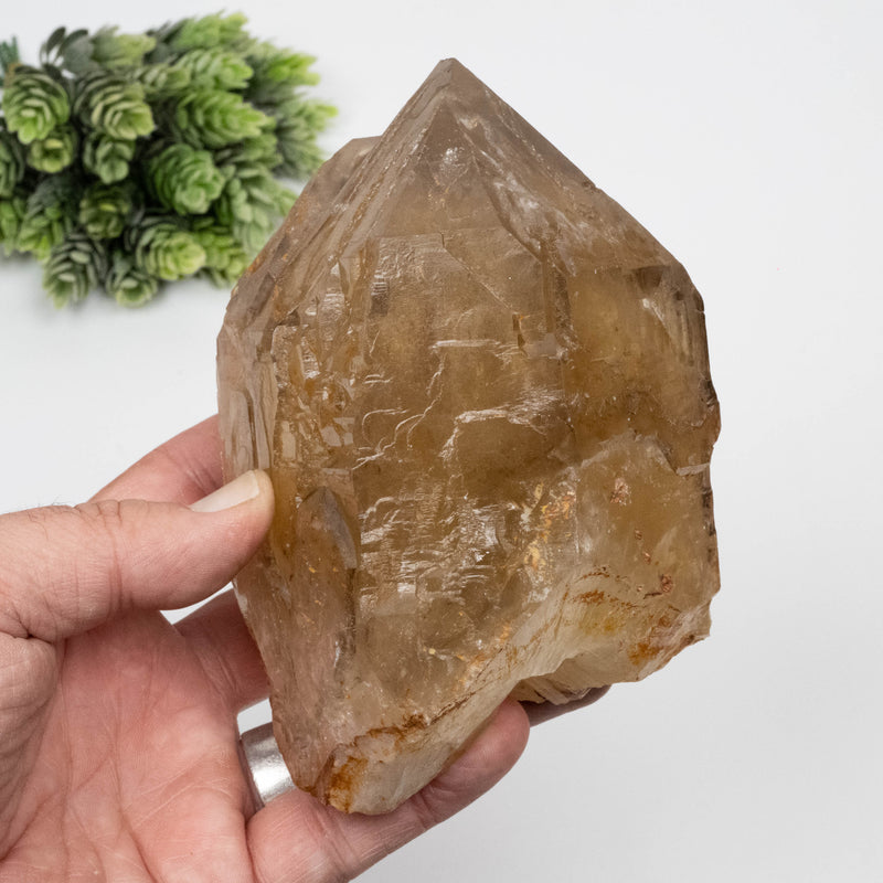 Citrine Crystal 1268 g 133x90mm Elestial