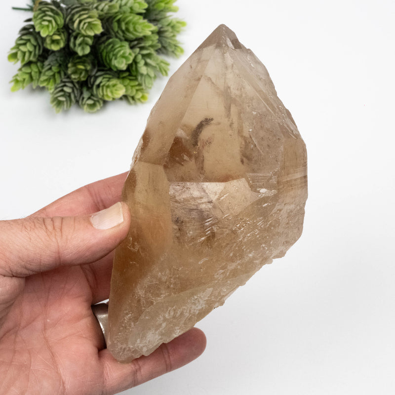 Citrine Crystal 844 g 153x89mm DT