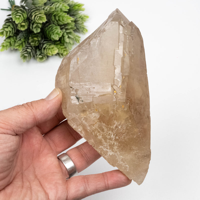 Citrine Crystal 844 g 153x89mm DT