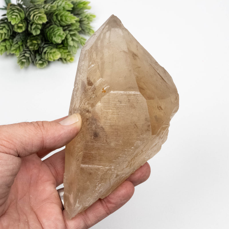 Citrine Crystal 844 g 153x89mm DT