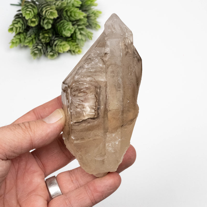 Citrine Crystal 368 g 120x58mm Smoky-Citrine
