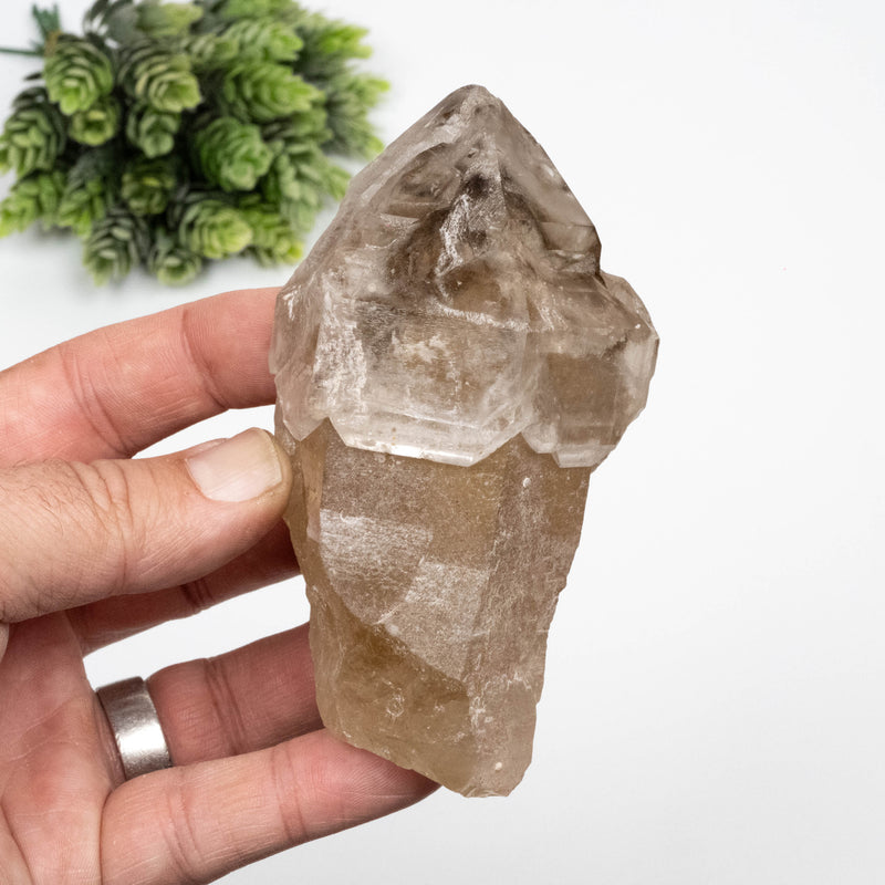 Citrine Crystal 359 g 110x64mm Scepter