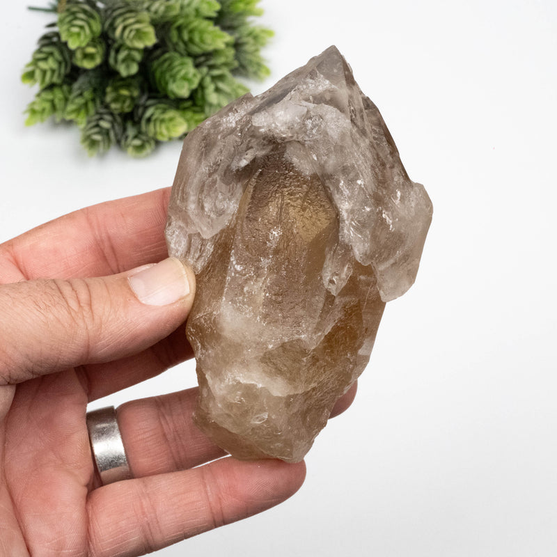 Citrine Crystal 359 g 110x64mm Scepter