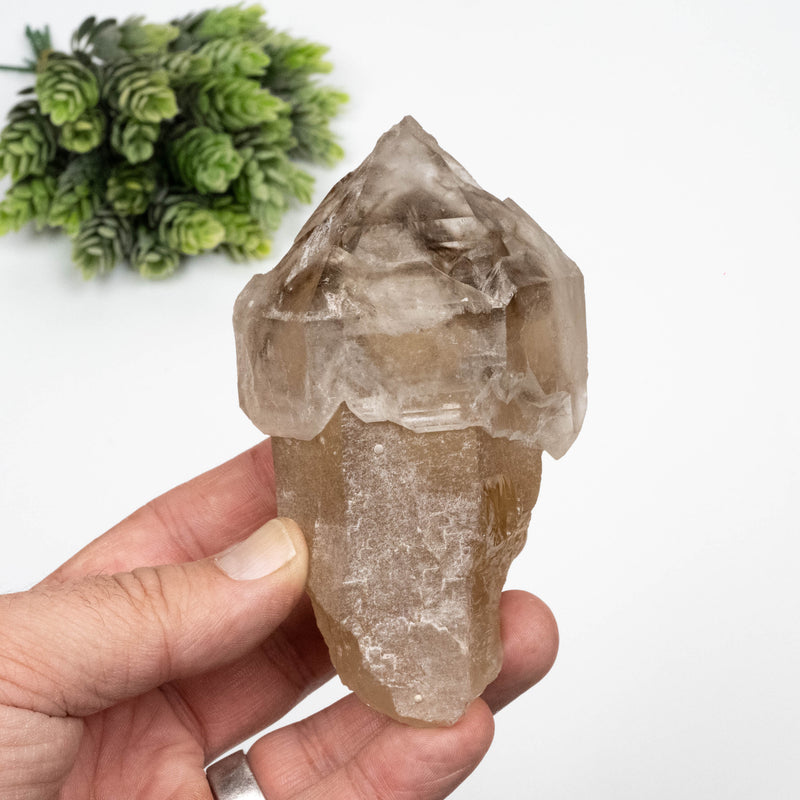 Citrine Crystal 359 g 110x64mm Scepter