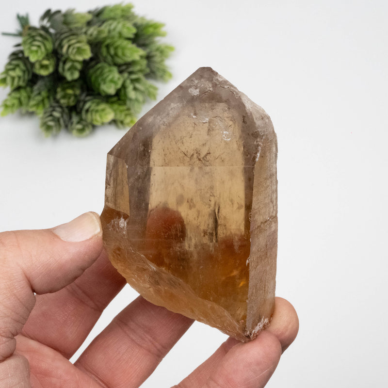 Citrine Crystal 293 g 93x60mm W/ Phantom
