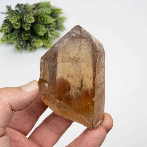 Citrine Crystal 293 g 93x60mm W/ Phantom - InnerVision Crystals
