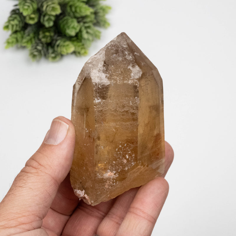 Citrine Crystal 293 g 93x60mm W/ Phantom