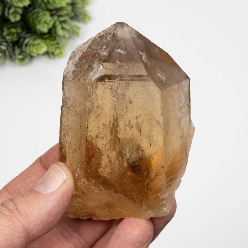 Citrine Crystal 293 g 93x60mm W/ Phantom