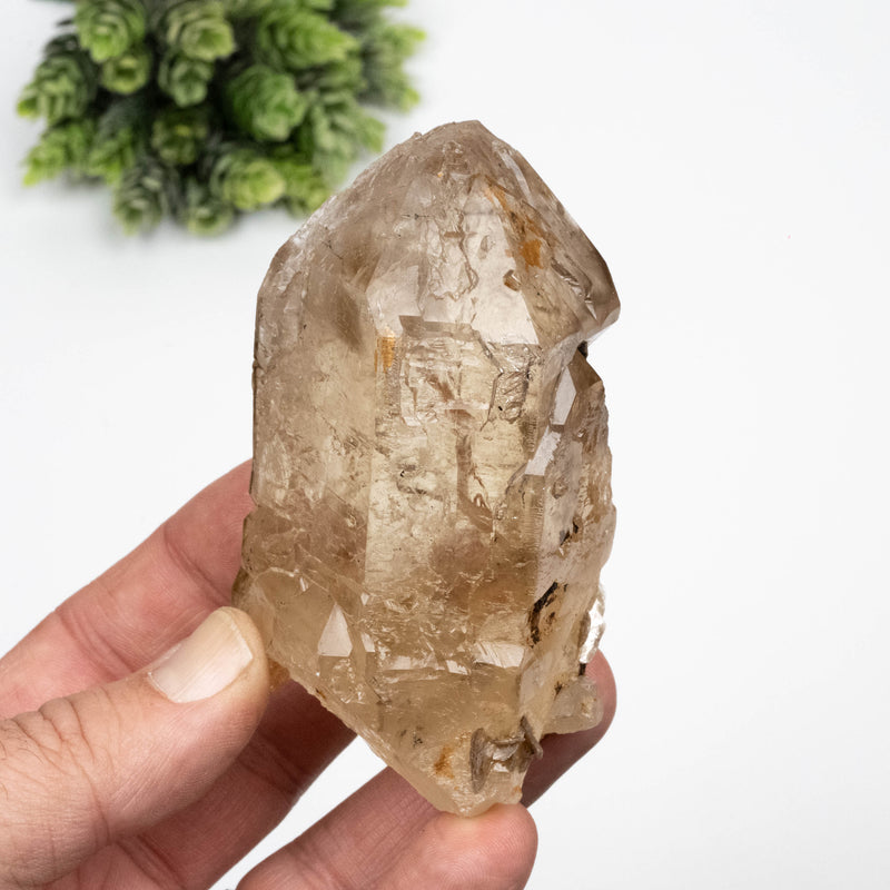 Citrine Crystal 311 g 93x53mm Cathedral