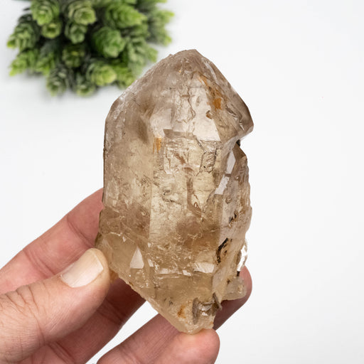 Citrine Crystal 311 g 93x53mm Cathedral - InnerVision Crystals