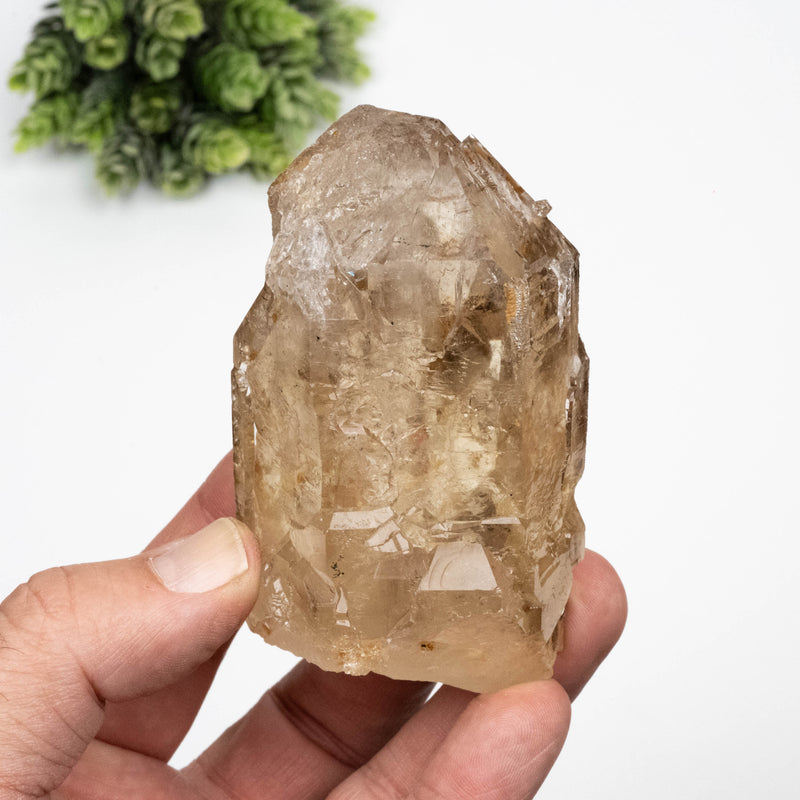 Citrine Crystal 311 g 93x53mm Cathedral