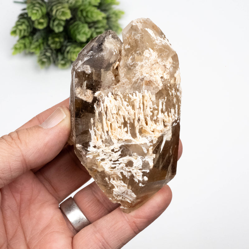 Citrine Crystal 268 g 96x57mm DT