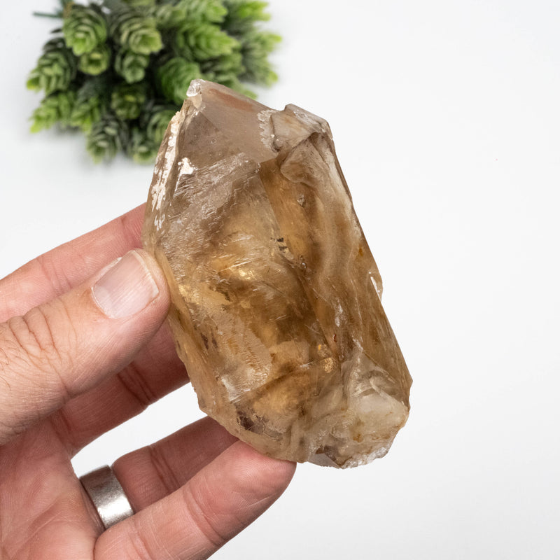 Citrine Crystal 268 g 96x57mm DT