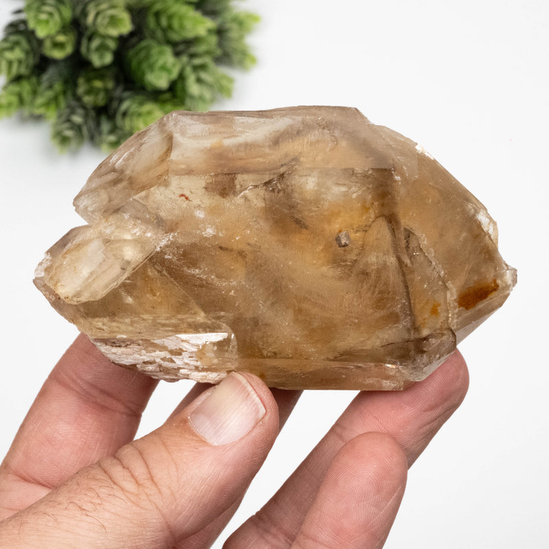 Citrine Crystal 268 g 96x57mm DT