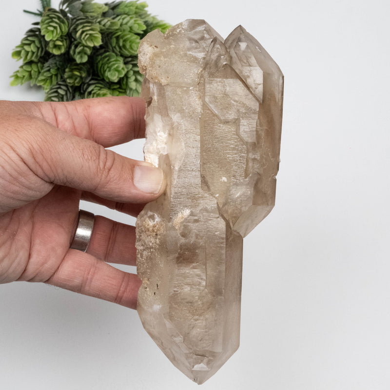 Citrine Crystal 752 g 173x66mm DT