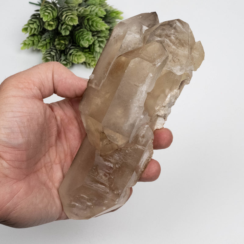 Citrine Crystal 752 g 173x66mm DT