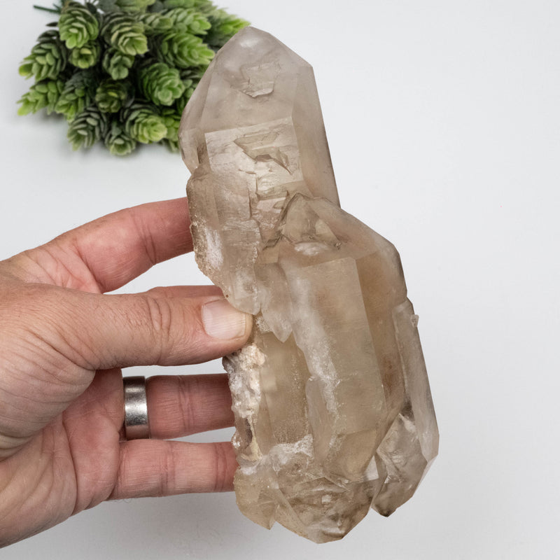 Citrine Crystal 752 g 173x66mm DT