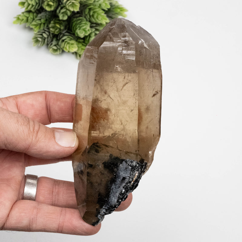 Citrine Crystal 450 g 130x54mm w/ Black Tourmaline
